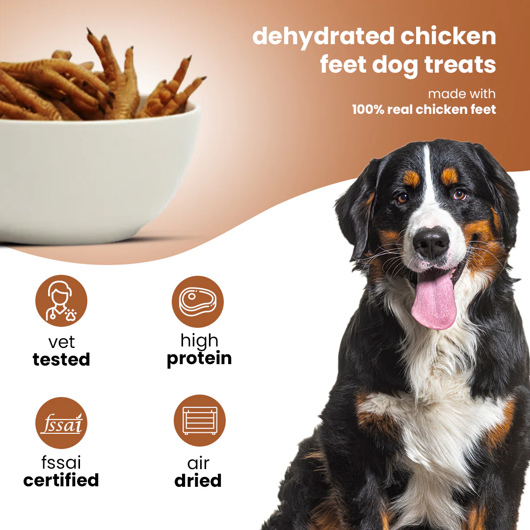 Nootie Happy Chews – Dehydrated Chicken Feet Dog Treats (80g) | Natural, Protein-Rich Chew for Joint & Dental Health - Image 3