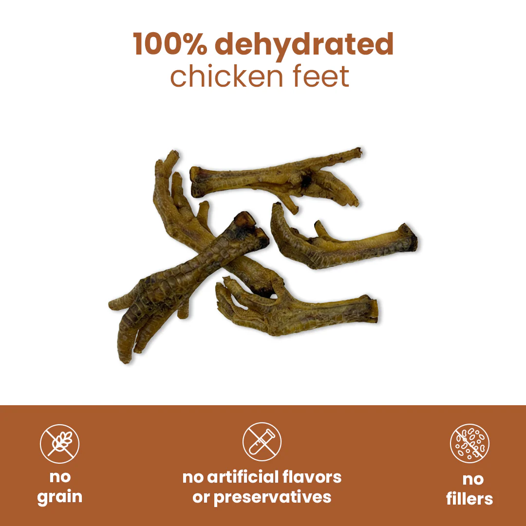 Nootie Happy Chews – Dehydrated Chicken Feet Dog Treats (80g) | Natural, Protein-Rich Chew for Joint & Dental Health - Image 4