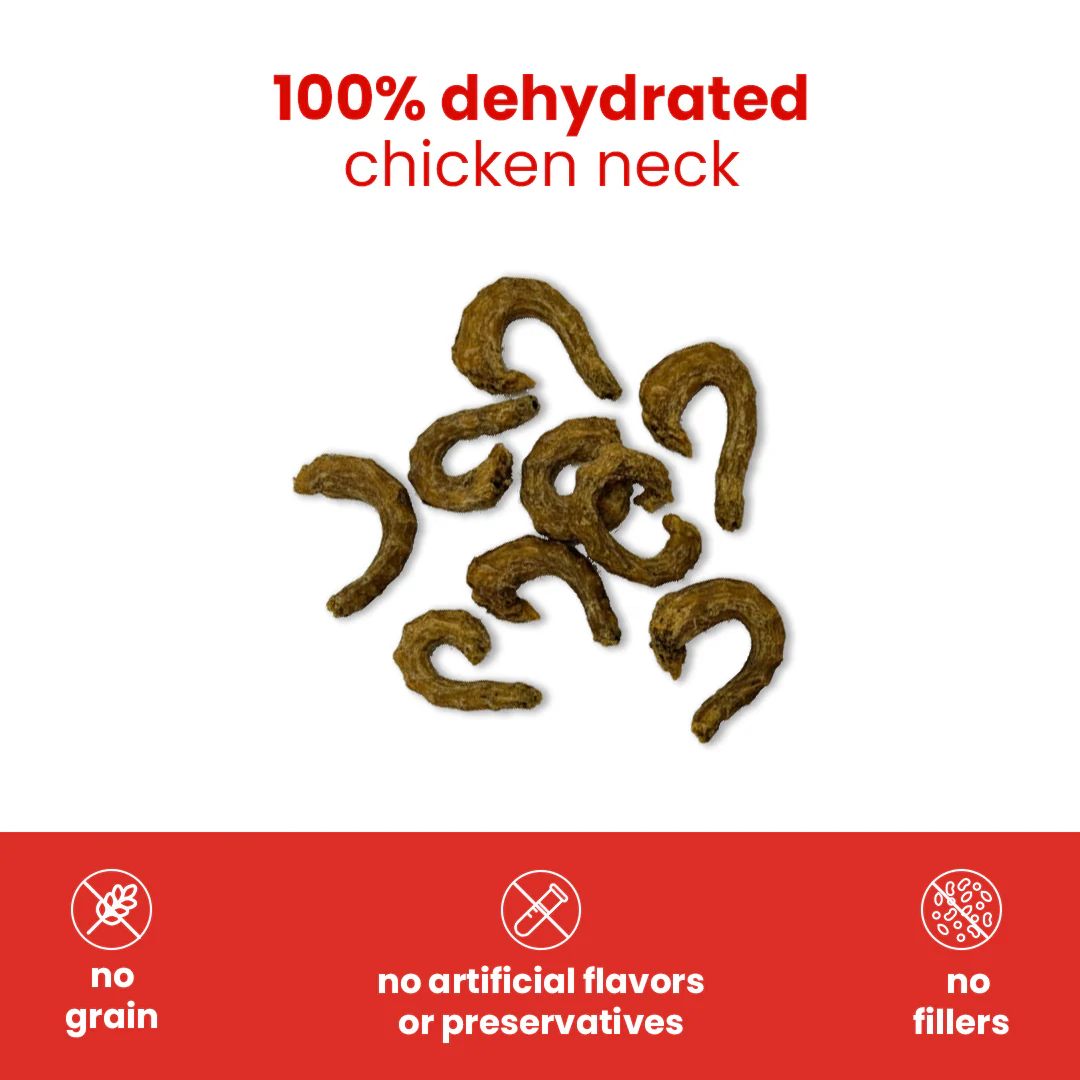 Nootie Happy Chews – Dehydrated Chicken Neck Dog Treats (80g) | All-Natural, High-Protein, Crunchy Snack - Image 4