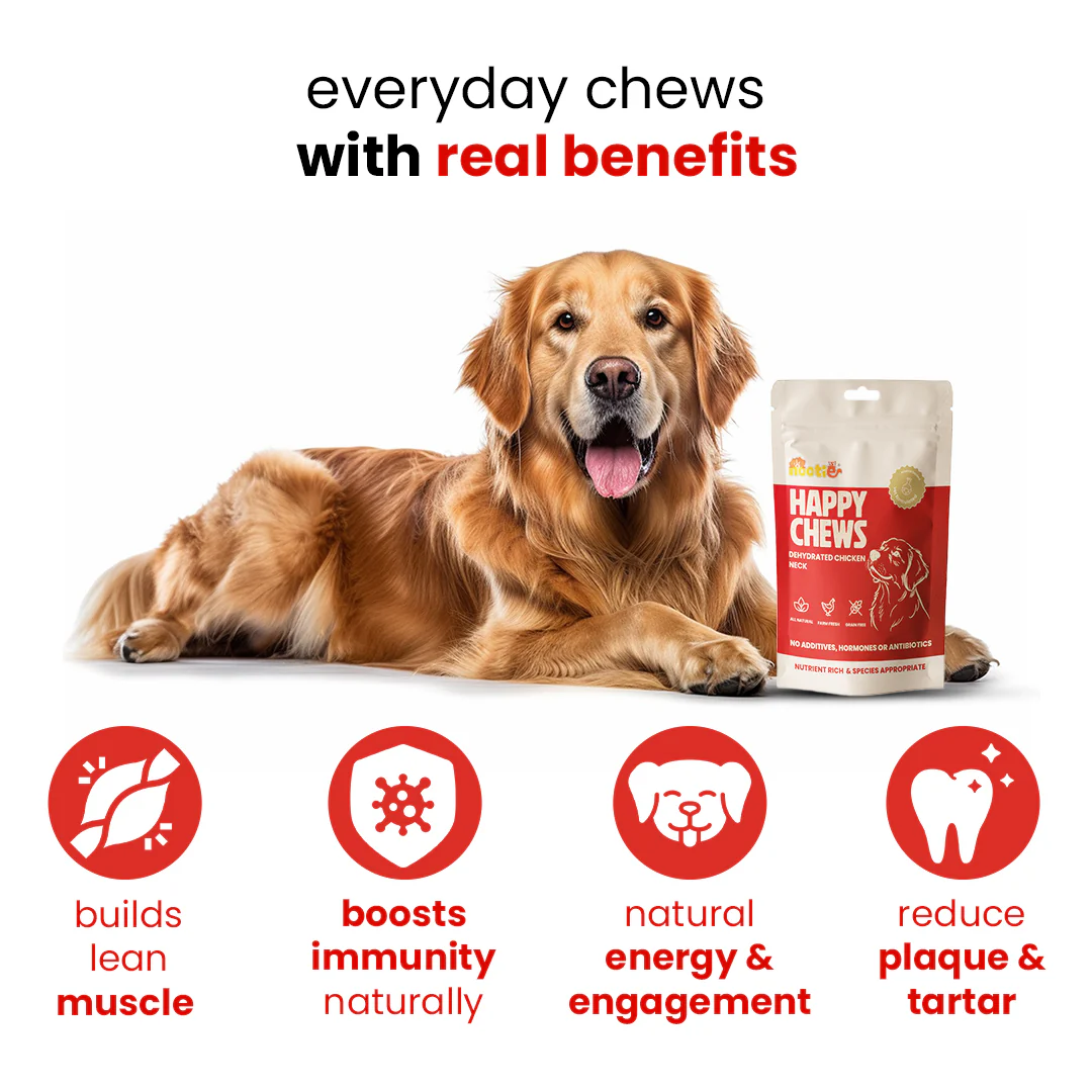 Nootie Happy Chews – Dehydrated Chicken Neck Dog Treats (80g) | All-Natural, High-Protein, Crunchy Snack - Image 5