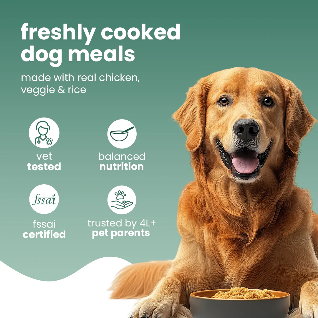 Nibblr Chicken Veggie & Rice Dog Food ā 300g - Image 3