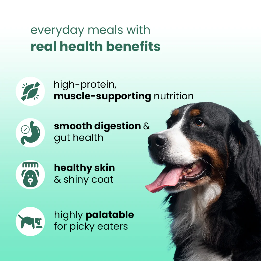 Nibblr Chicken Veggie & Rice Dog Food ā 300g - Image 4