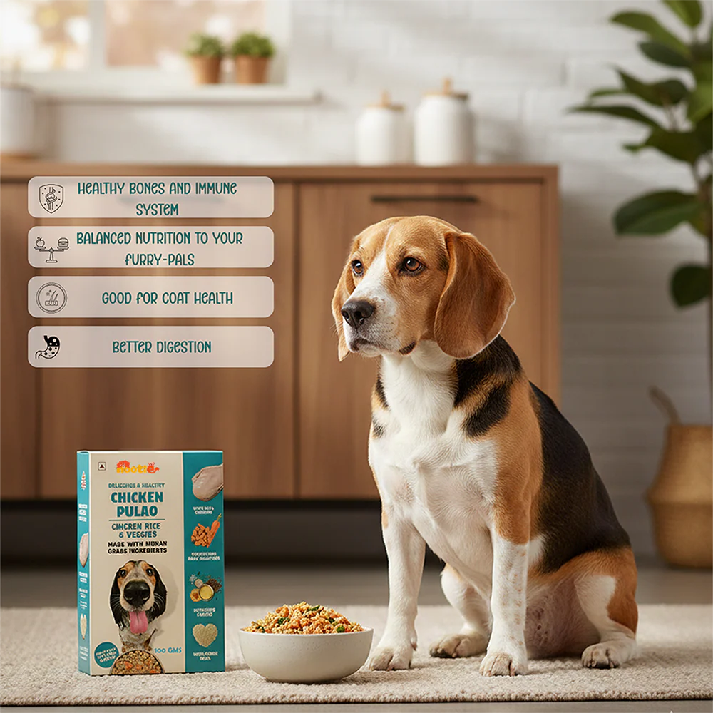 Nootie Chicken Pulao for Dogs - 100g - Human-Grade, Balanced Meal with Real Chicken, Rice & Veggies (Pack of 3) - Image 7