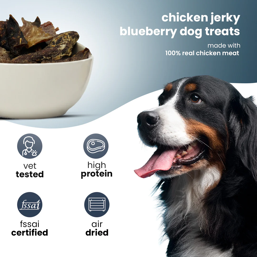 Nootie Happy Chews – Dehydrated Chicken Jerky Blueberry Dog Treats (50g) | All-Natural, Grain-Free Protein Snack - Image 3