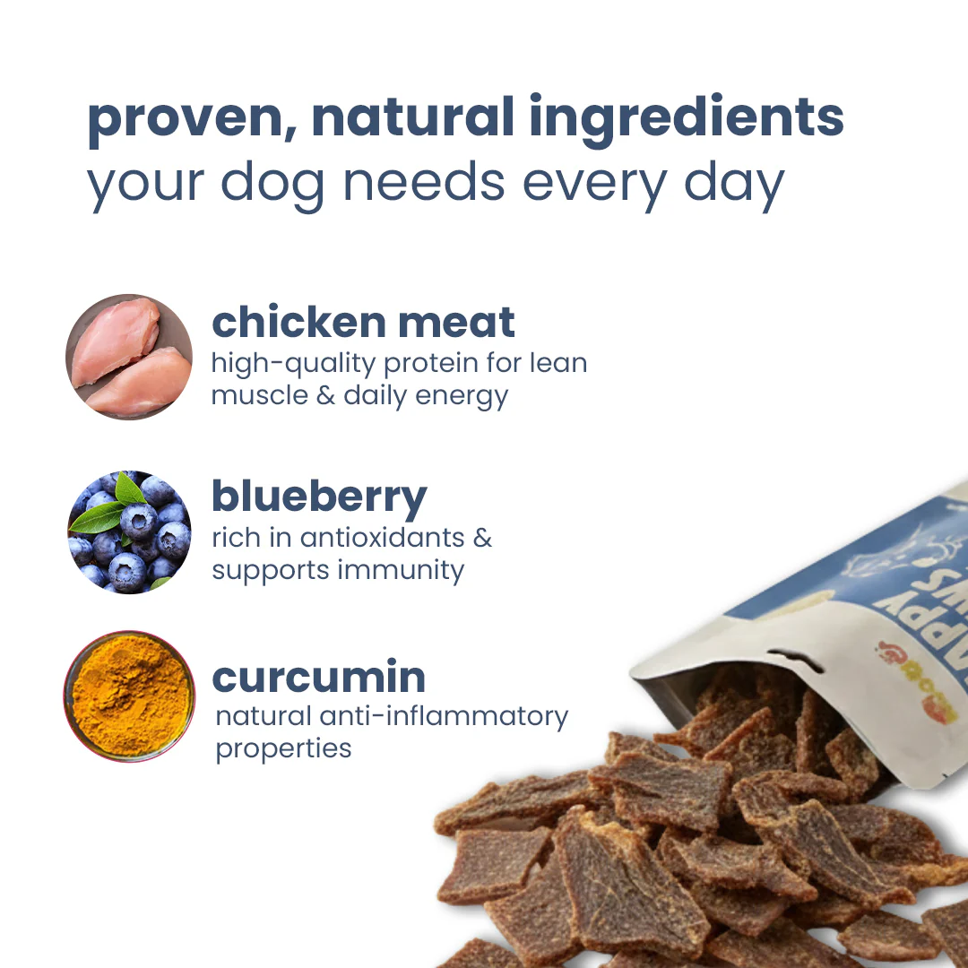 Nootie Happy Chews – Dehydrated Chicken Jerky Blueberry Dog Treats (50g) | All-Natural, Grain-Free Protein Snack - Image 4