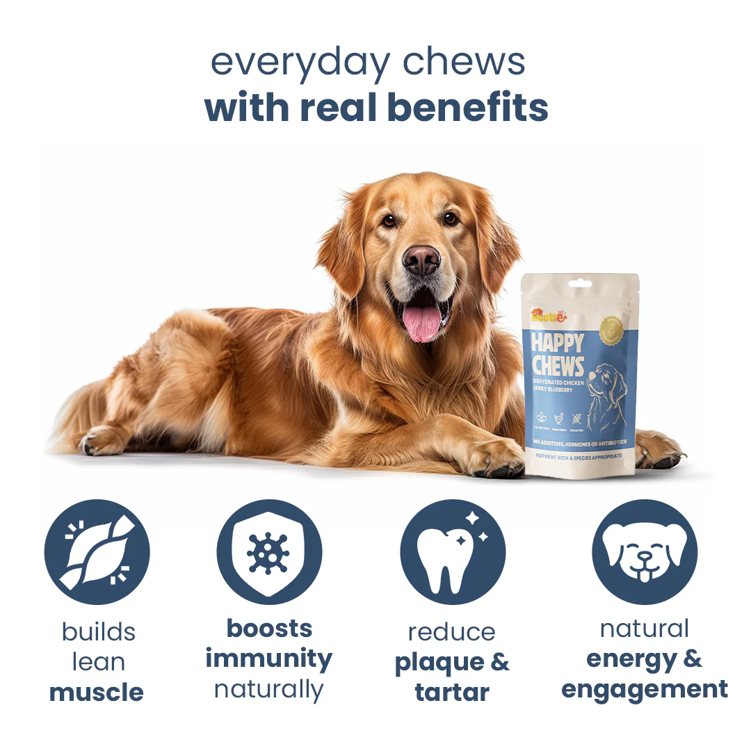 Nootie Happy Chews – Dehydrated Chicken Jerky Blueberry Dog Treats (50g) | All-Natural, Grain-Free Protein Snack - Image 5